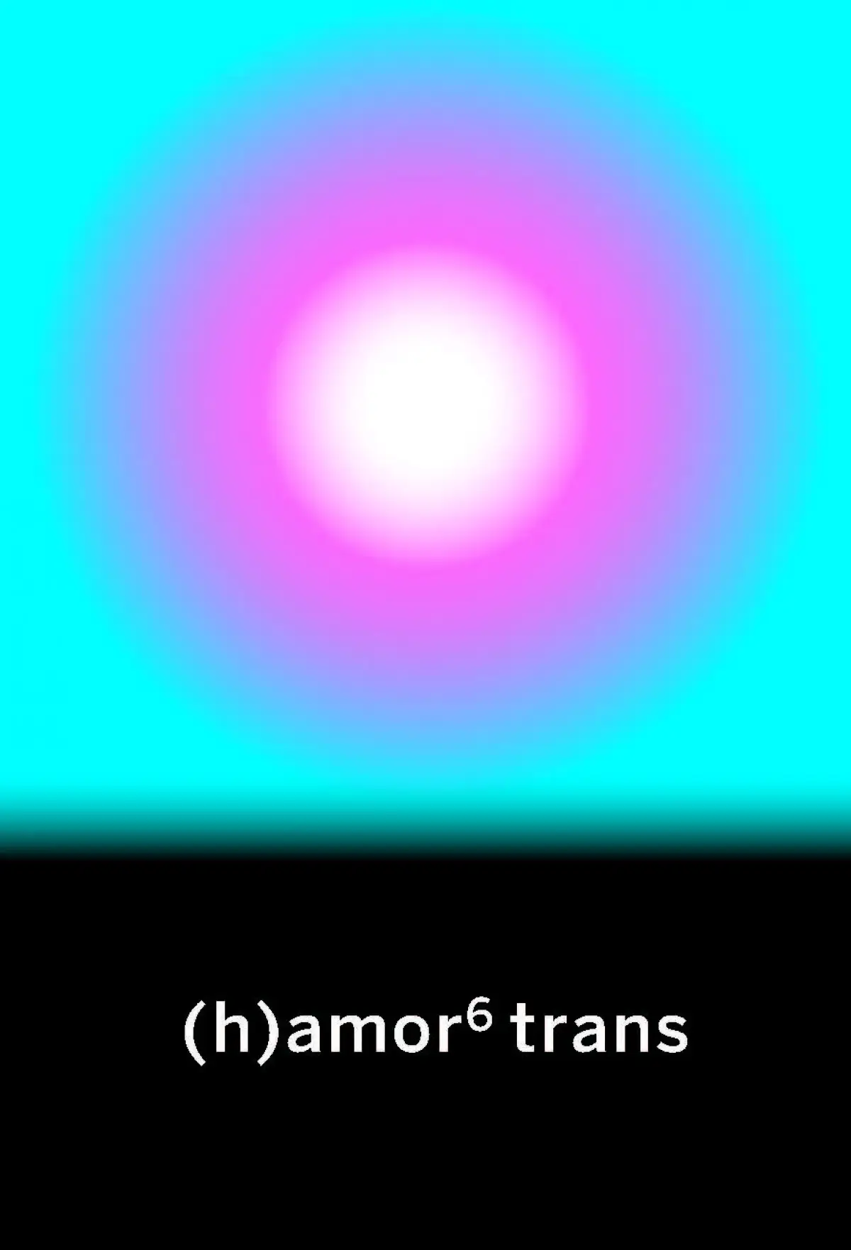 (h)amor 6 trans